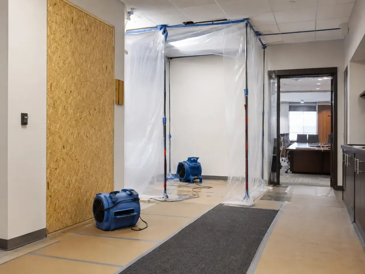 Government Building Restoration Maple inspection and documentation