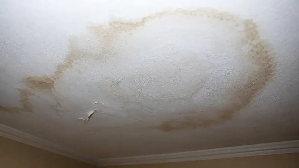 Hidden Water Becomes Rot, Mould, and a Structural Problem for Leak Detection and Thermal Imaging Markham